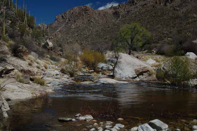 Sabino Creek